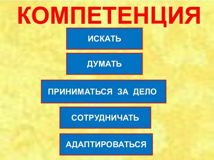 ИСКАТЬ ДУМАТЬ ПРИНИМАТЬСЯ ЗА ДЕЛО СОТРУДНИЧАТЬ АДАПТИРОВАТЬСЯ КОМПЕТЕНЦИЯ