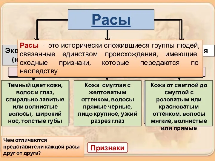 Признаки Расы - это исторически сложившиеся группы людей, связанные единством