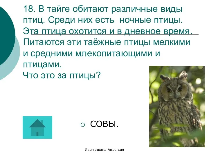 Иванюшина Анастсия 18. В тайге обитают различные виды птиц. Среди