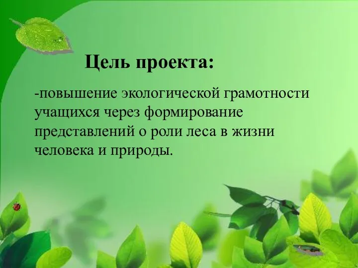 -повышение экологической грамотности учащихся через формирование представлений о роли леса в жизни человека