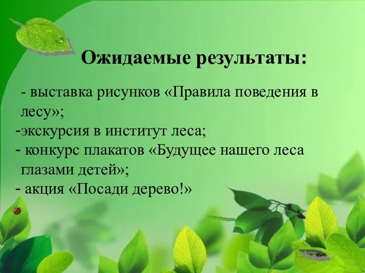 - выставка рисунков «Правила поведения в лесу»; экскурсия в институт леса; конкурс плакатов