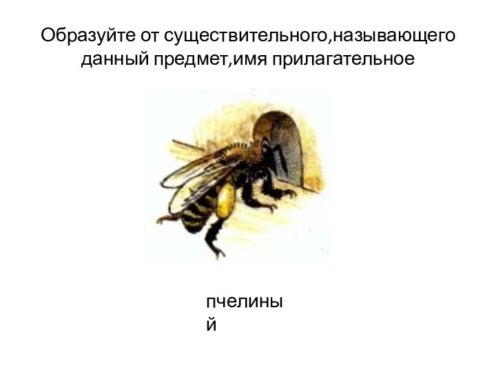 Образуйте от существительного,называющего данный предмет,имя прилагательное пчелиный