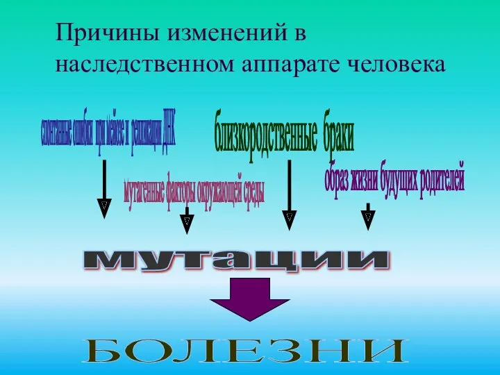 Причины изменений в наследственном аппарате человека мутации спонтанные ошибки при