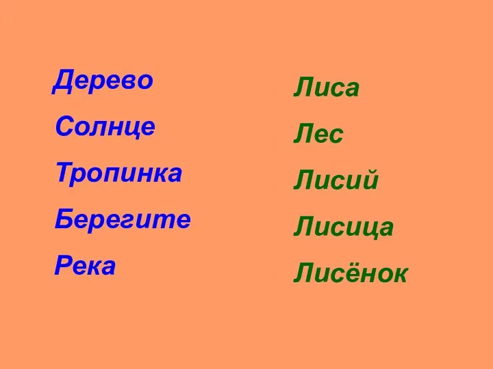 Дерево Солнце Тропинка Берегите Река Лиса Лес Лисий Лисица Лисёнок