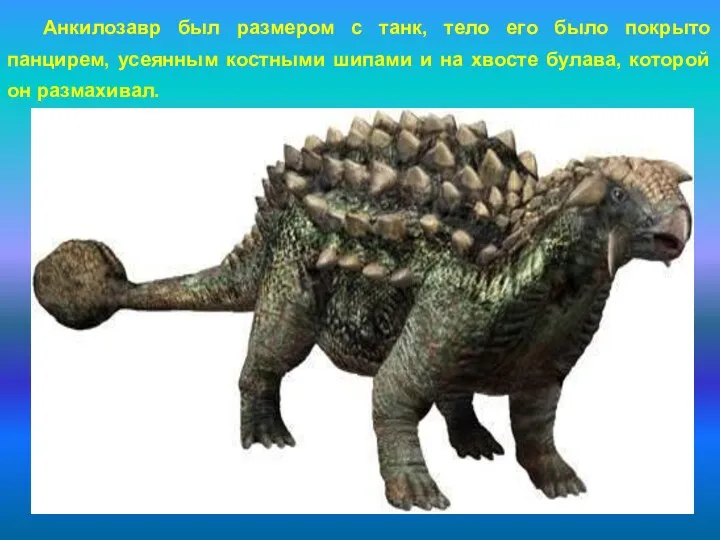 Анкилозавр был размером с танк, тело его было покрыто панцирем,