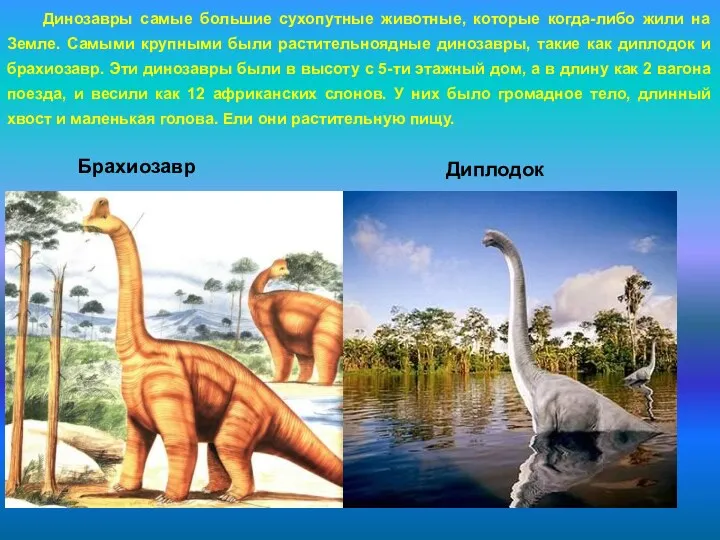 Динозавры самые большие сухопутные животные, которые когда-либо жили на Земле.