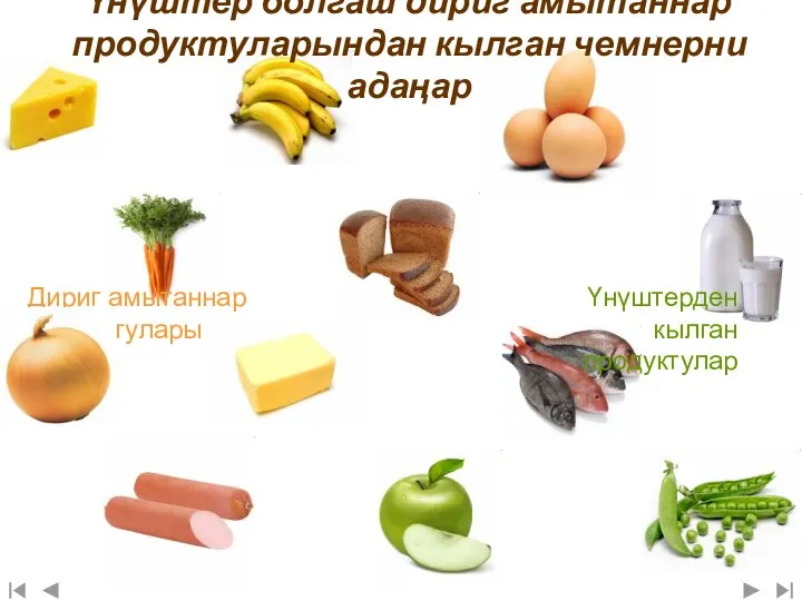 Үнүштер болгаш дириг амытаннар продуктуларындан кылган чемнерни адаңар Дириг амытаннар продуктулары Үнүштерден кылган продуктулар