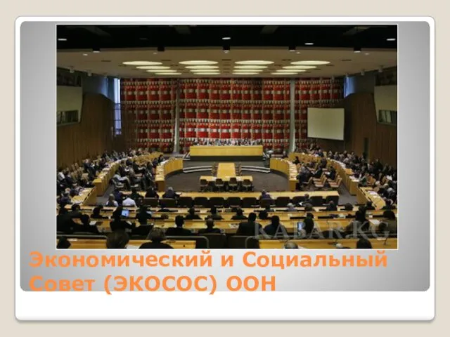 Экономический и Социальный Совет (ЭКОСОС) ООН