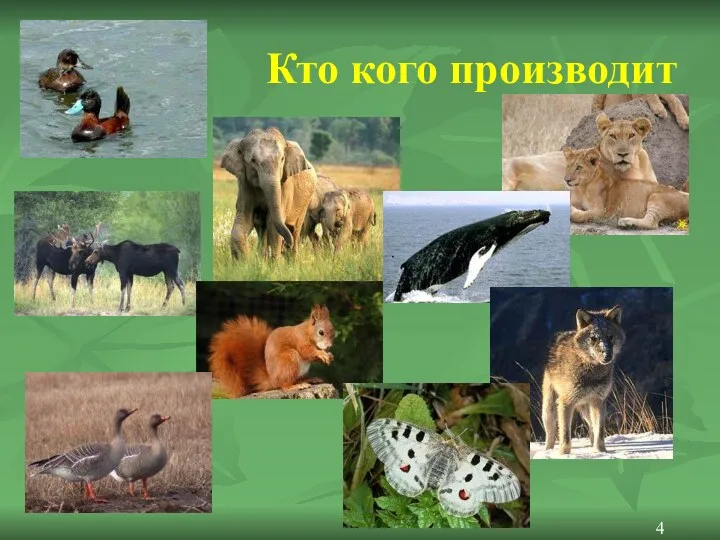 Кто кого производит 4