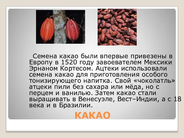 КАКАО Семена какао были впервые привезены в Европу в 1520 году завоевателем Мексики