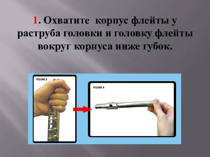 1. Охватите корпус флейты у раструба головки и головку флейты вокруг корпуса ниже губок.