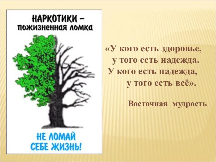 «У кого есть здоровье, у того есть надежда. У кого