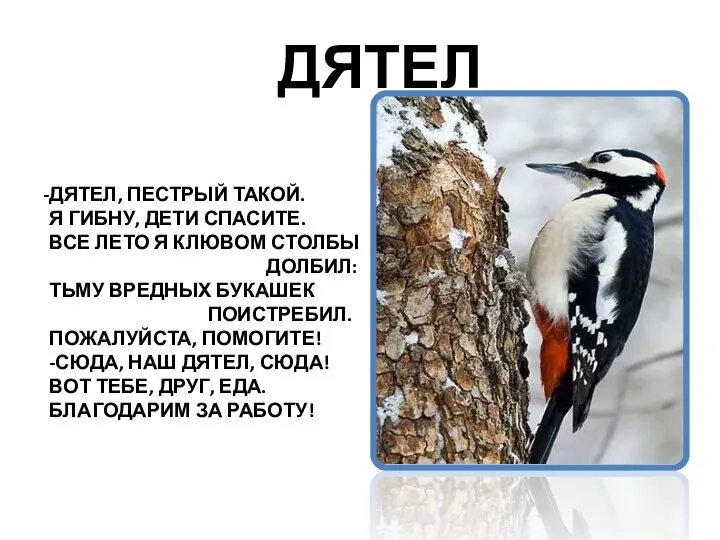 ДЯТЕЛ ДЯТЕЛ, ПЕСТРЫЙ ТАКОЙ. Я ГИБНУ, ДЕТИ СПАСИТЕ. ВСЕ ЛЕТО Я КЛЮВОМ СТОЛБЫ