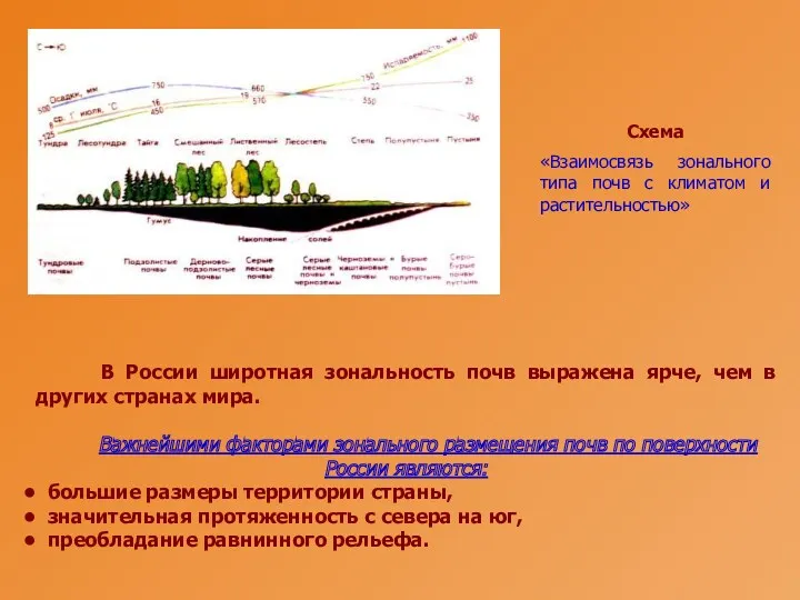 В России широтная зональность почв выражена ярче, чем в других