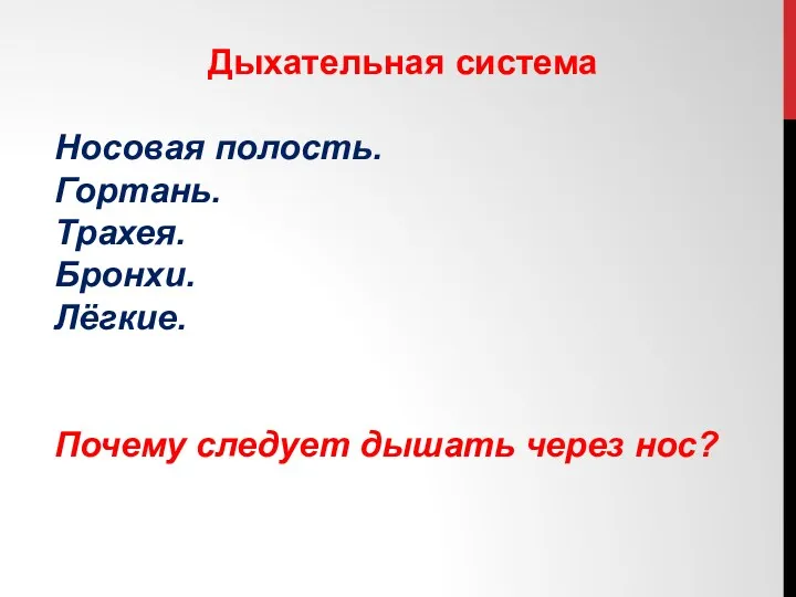 Дыхательная система Носовая полость. Гортань. Трахея. Бронхи. Лёгкие. Почему следует дышать через нос?