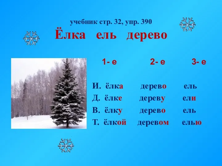 учебник стр. 32, упр. 390 Ёлка ель дерево 1- е