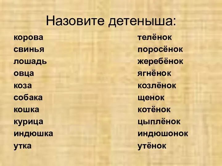 Назовите детеныша: корова свинья лошадь овца коза собака кошка курица индюшка утка телёнок