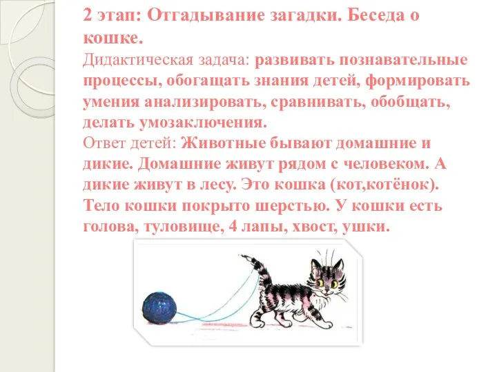 2 этап: Отгадывание загадки. Беседа о кошке. Дидактическая задача: развивать познавательные процессы, обогащать