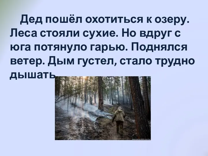 Дед пошёл охотиться к озеру. Леса стояли сухие. Но вдруг