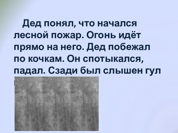 Дед понял, что начался лесной пожар. Огонь идёт прямо на