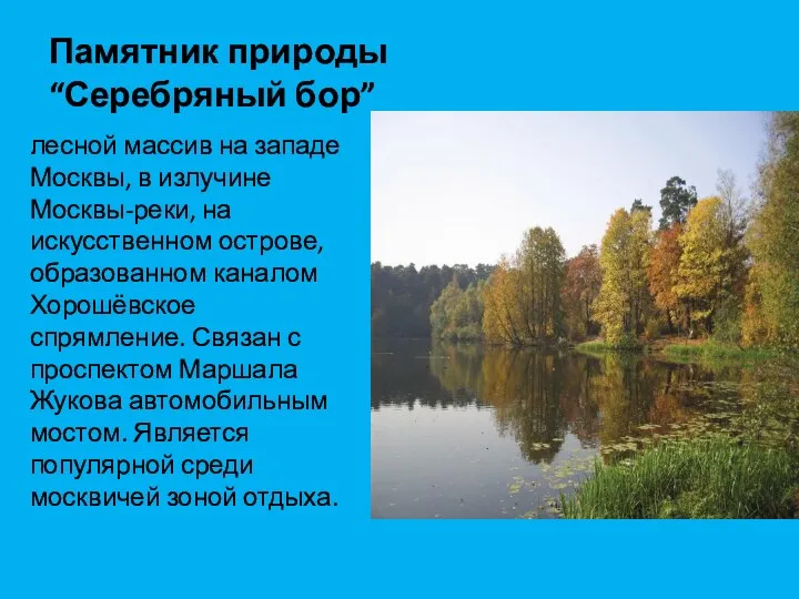 Памятник природы “Серебряный бор” лесной массив на западе Москвы, в излучине Москвы-реки, на