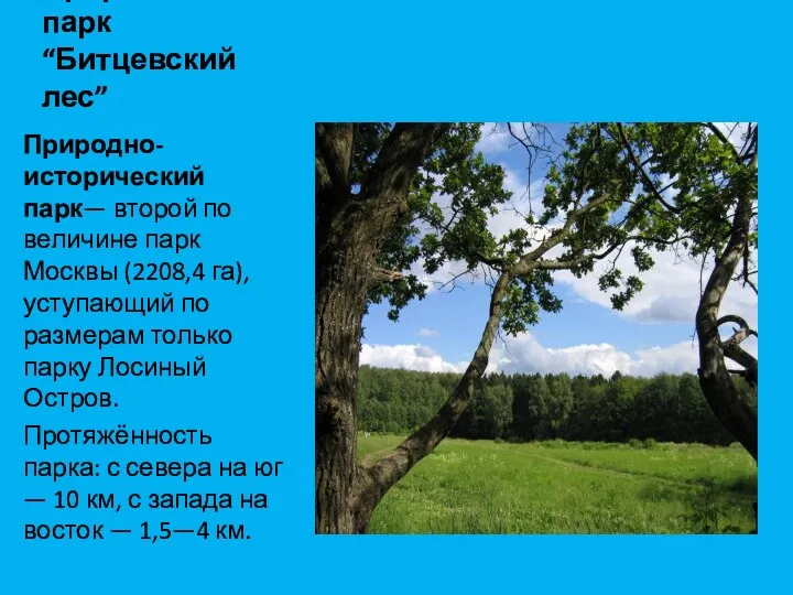 Природный парк “Битцевский лес” Природно-исторический парк— второй по величине парк Москвы (2208,4 га),