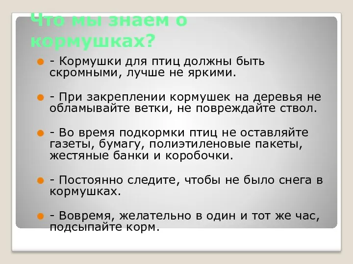 Что мы знаем о кормушках? - Кормушки для птиц должны быть скромными, лучше