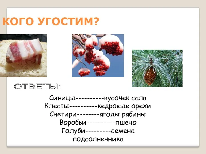 КОГО УГОСТИМ? Синицы----------кусочек сала Клесты----------кедровые орехи Снегири--------ягоды рябины Воробьи----------пшено Голуби---------семена подсолнечника ОТВЕТЫ: