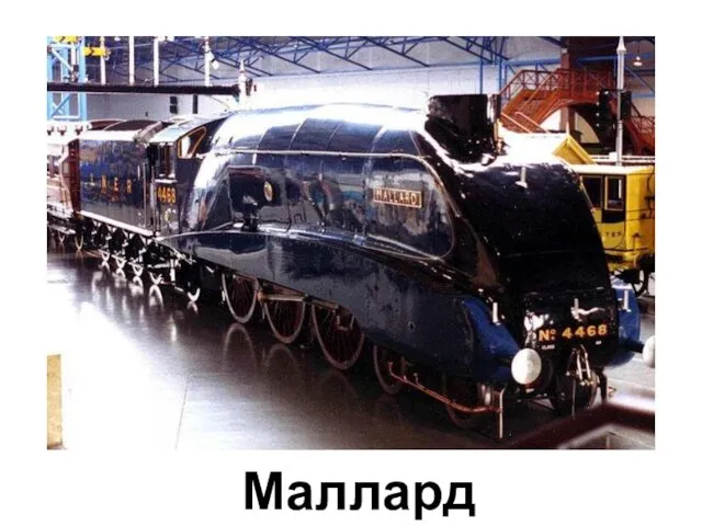 Маллард