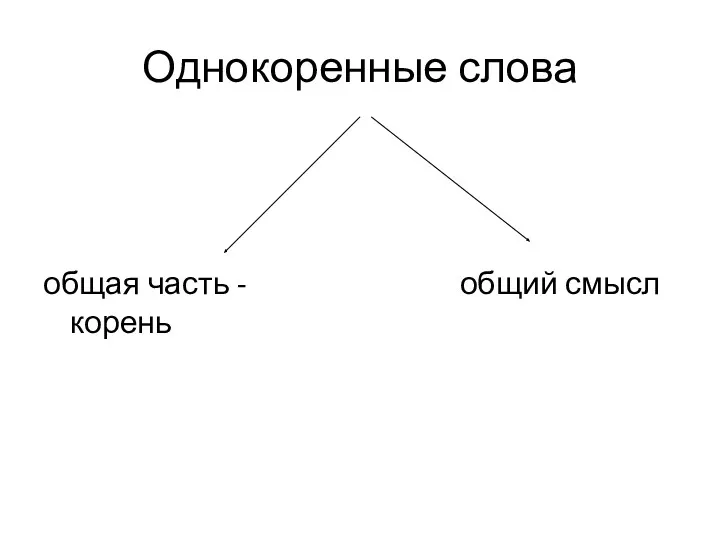 Однокоренные слова общая часть - корень общий смысл