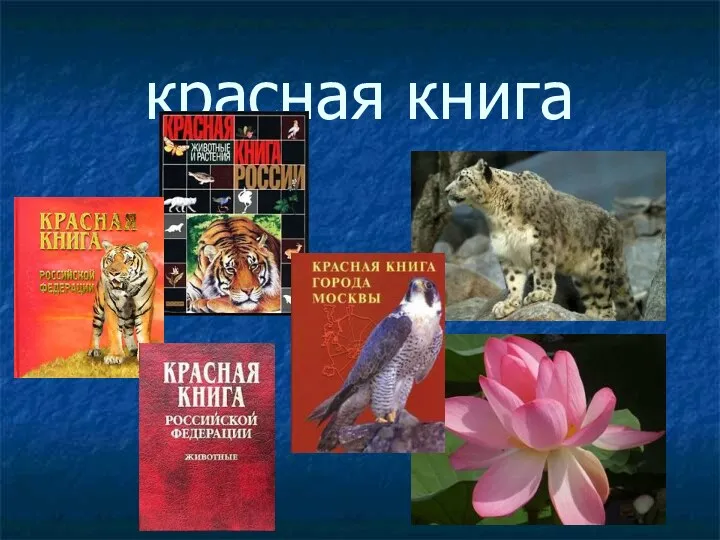 красная книга