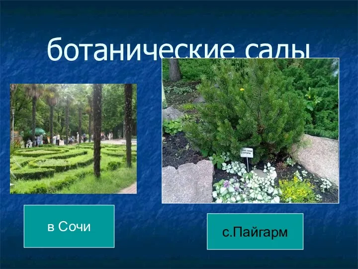 ботанические сады в Сочи с.Пайгарм