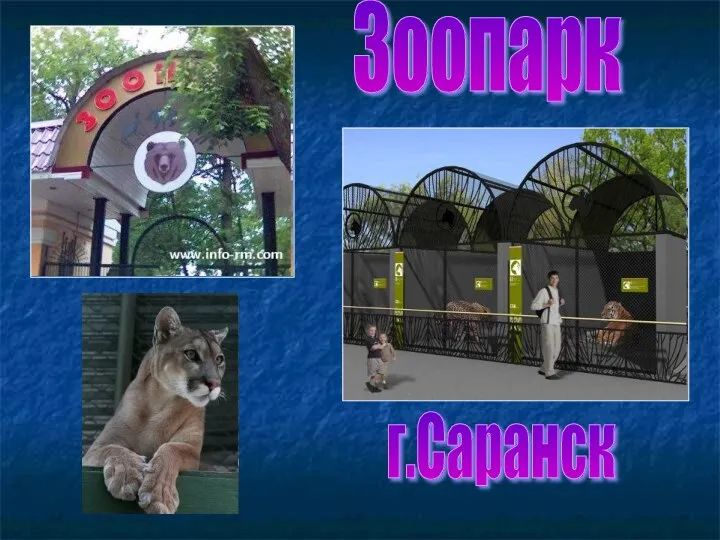 Зоопарк г.Саранск