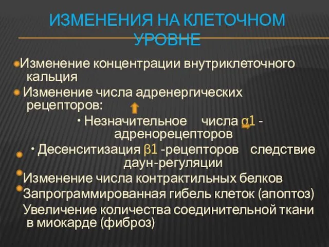 ИЗМЕНЕНИЯ НА КЛЕТОЧНОМ УРОВНЕ Изменение концентрации внутриклеточного кальция Изменение числа