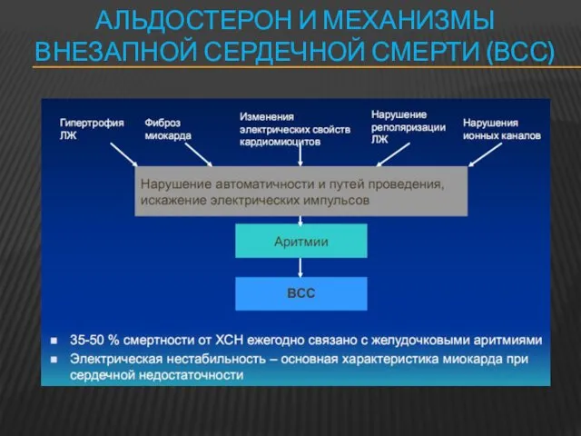 АЛЬДОСТЕРОН И МЕХАНИЗМЫ ВНЕЗАПНОЙ СЕРДЕЧНОЙ СМЕРТИ (ВСС)