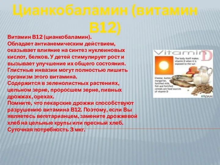 Витамин В12 (цианкобаламин). Обладает антианемическим действием, оказывает влияние на синтез