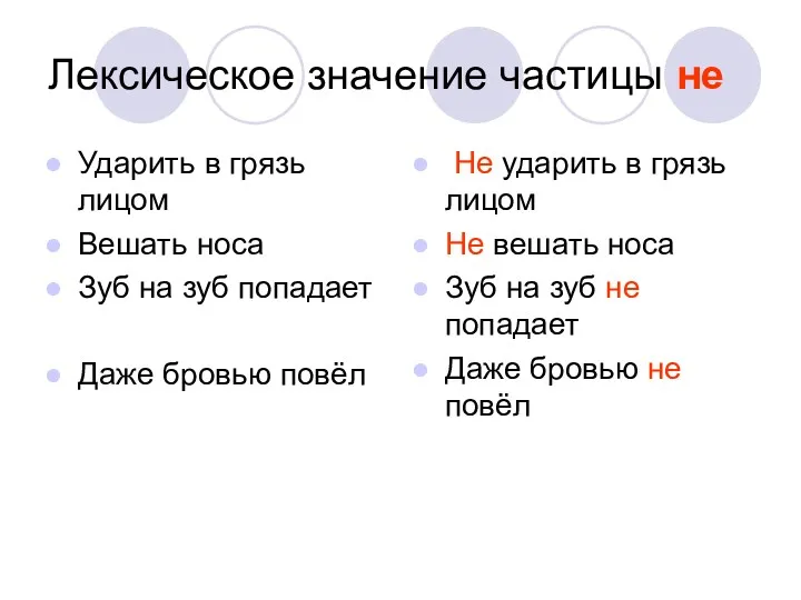 Лексическое значение частицы не Ударить в грязь лицом Вешать носа