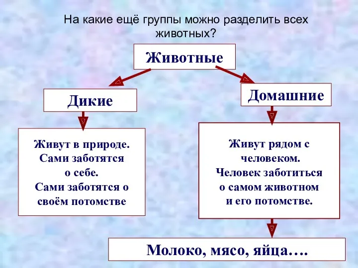 Животные Дикие Домашние Живут в природе. Сами заботятся о себе.