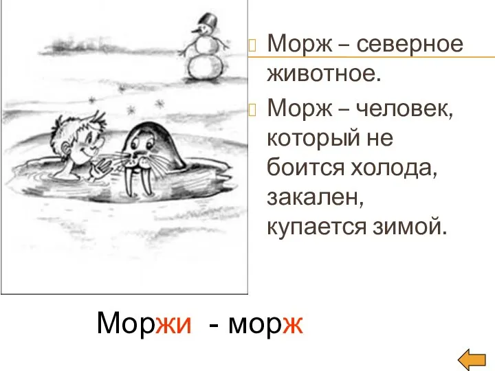 Морж – северное животное. Морж – человек, который не боится