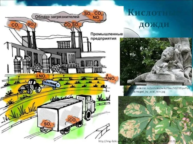 Кислотные дожди http://img-fotki.yandex.ru/get/2711/sergjusz.2e/0_1ea8f_81172acf_L http://dic.academic.ru/pictures/wiki/files/50/220px-Pollution_-_Damaged_by_acid_rain.jpg