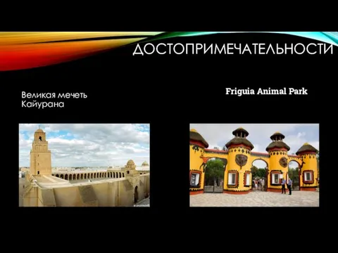 ДОСТОПРИМЕЧАТЕЛЬНОСТИ Friguia Animal Park Великая мечеть Кайурана