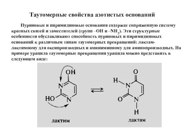 Таутомерные свойства азотистых оснований Пуриновые и пиримидиновые основания содержат сопряженную