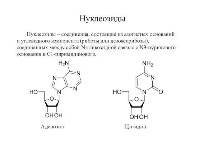 Нуклеозиды Нуклеозиды – соединения, состоящие из азотистых оснований и углеводного