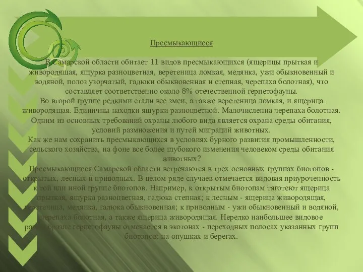 Пресмыкающиеся В Самарской области обитает 11 видов пресмыкающихся (ящерицы прыткая