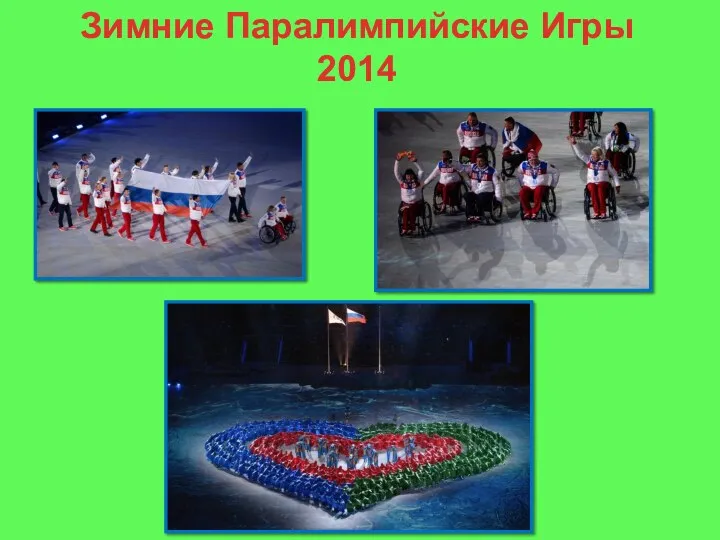 Зимние Паралимпийские Игры 2014