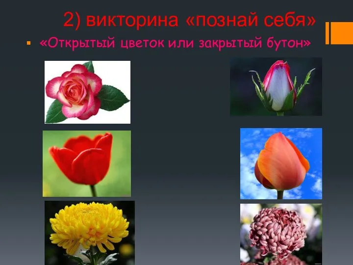 2) викторина «познай себя» «Открытый цветок или закрытый бутон»