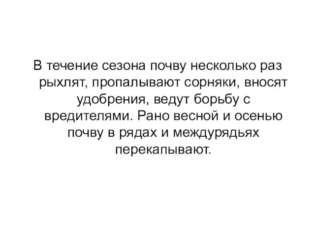 В течение сезона почву несколько раз рыхлят, пропалывают сорняки, вносят