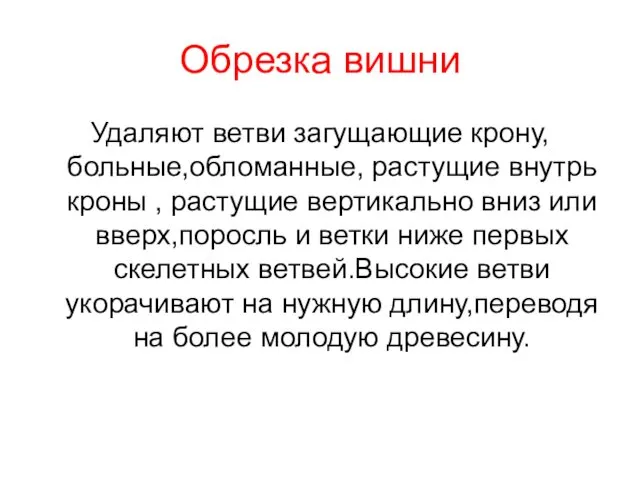 Обрезка вишни Удаляют ветви загущающие крону,больные,обломанные, растущие внутрь кроны ,