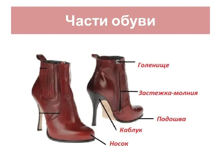 Части обуви