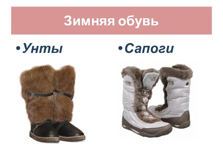 Зимняя обувь Унты Сапоги